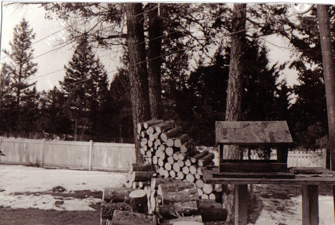 bird_feeder_and_wood_pile_by_leishy